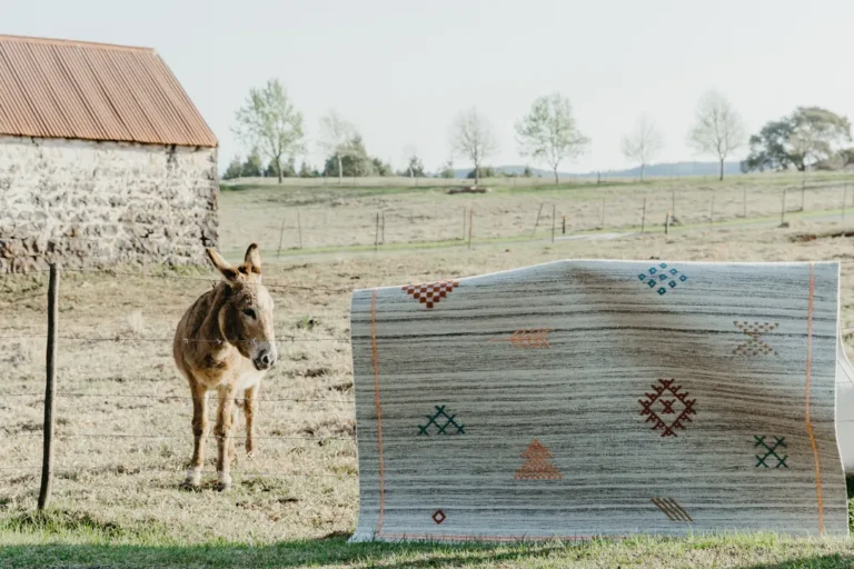cotton rugs hanging next to a donkey