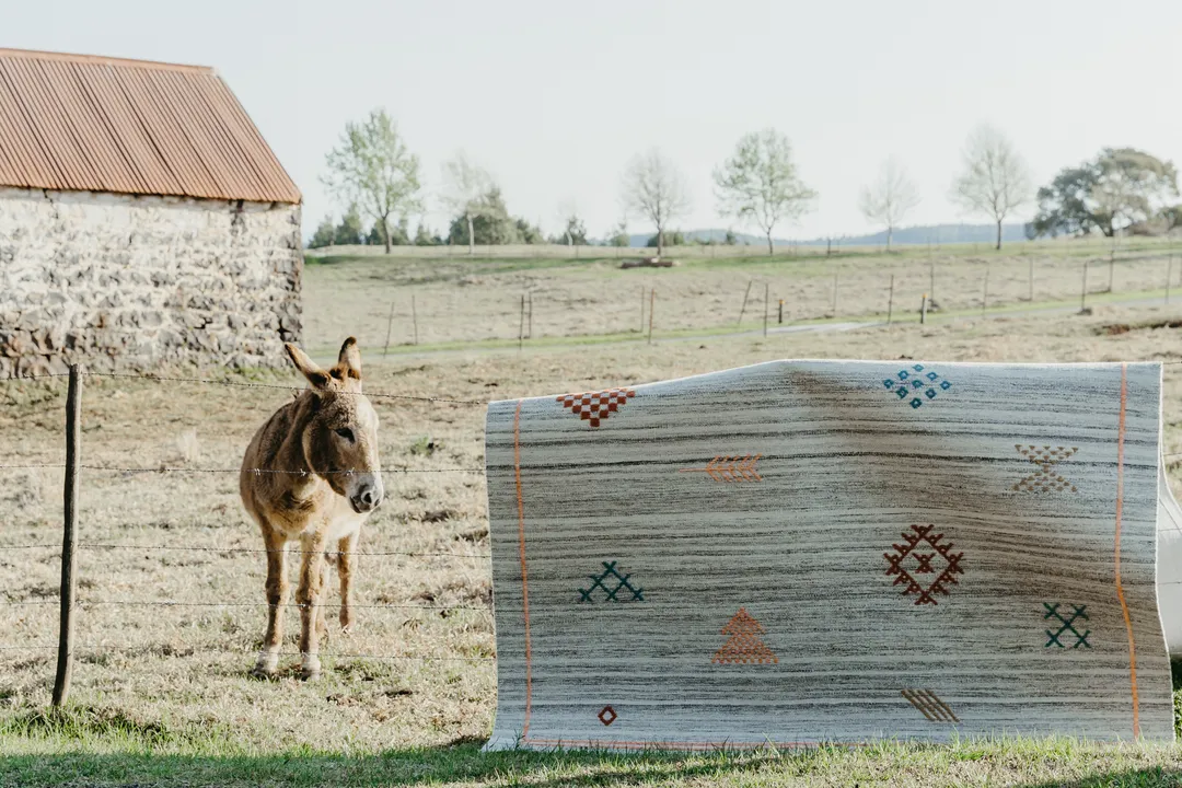 Woven Bliss – cotton rugs hanging next to a donkey