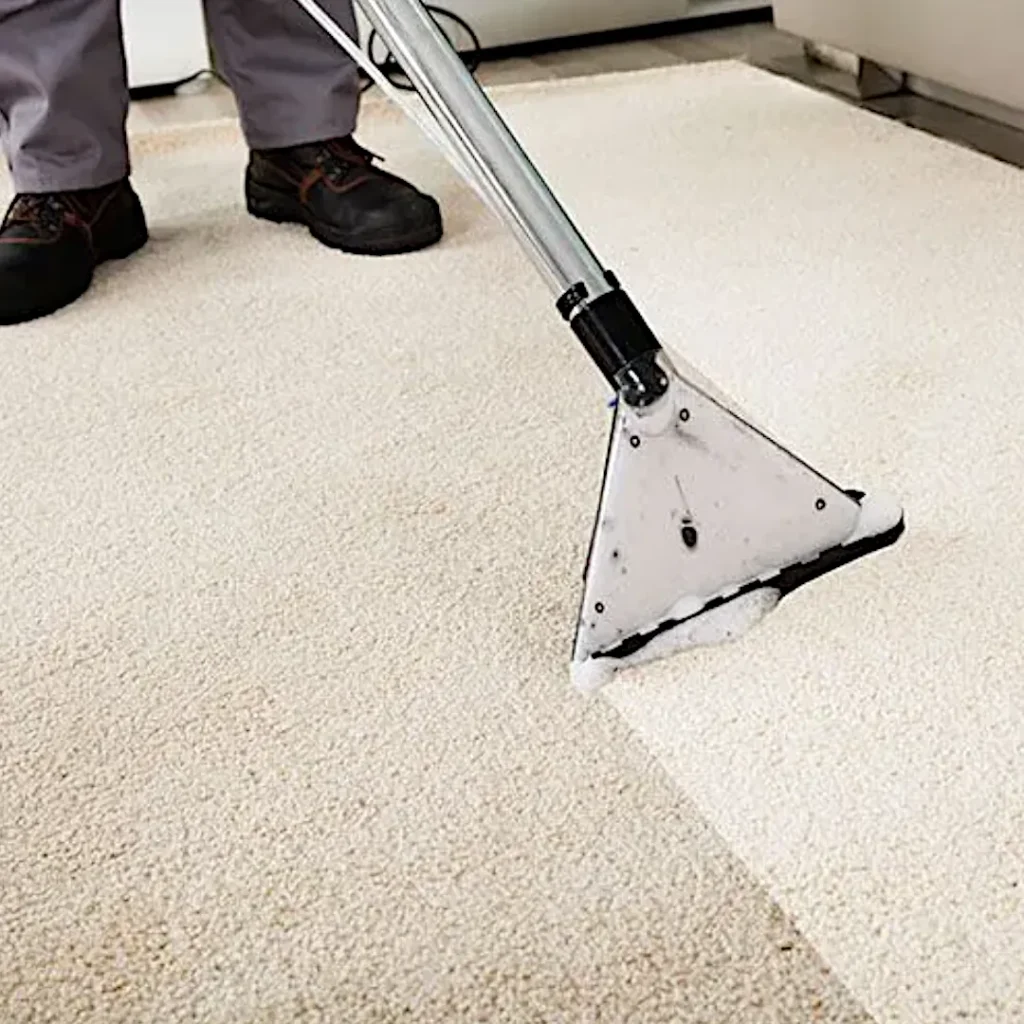 Polypropylene Rug Care Guide 